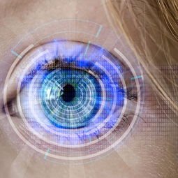 Kaiyun(中国)开云-训练负荷科学监测，训练负荷诊断