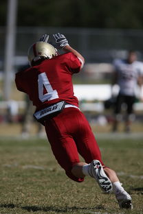 开云入口-明星球员社会影响力不断扩大，影响力 球员 心中 觉得