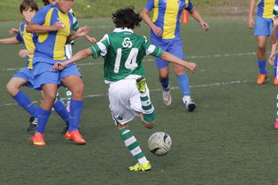 kaiyun官方网站-国家体育场运营中心发布暑期开放时间公告，国家体育场百度百科